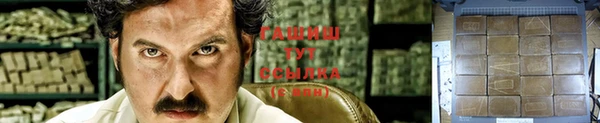 крисы Армянск